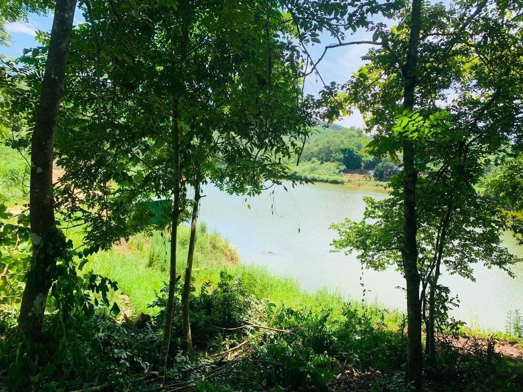 1907m2  tại Lạc Lương, Yên Thuỷ, Hòa Bình.