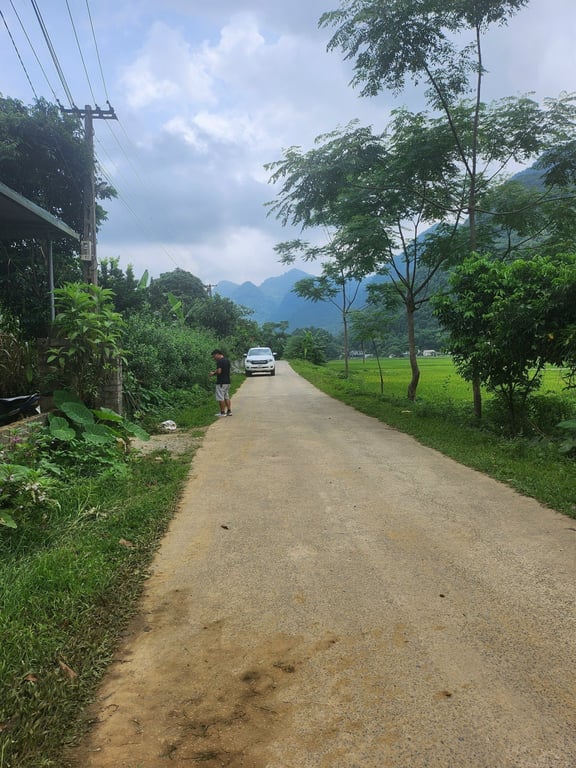 333m2 có 100m2 ONT Tại Phú Cường Tân Lạc, Hòa Bình chỉ 499tr