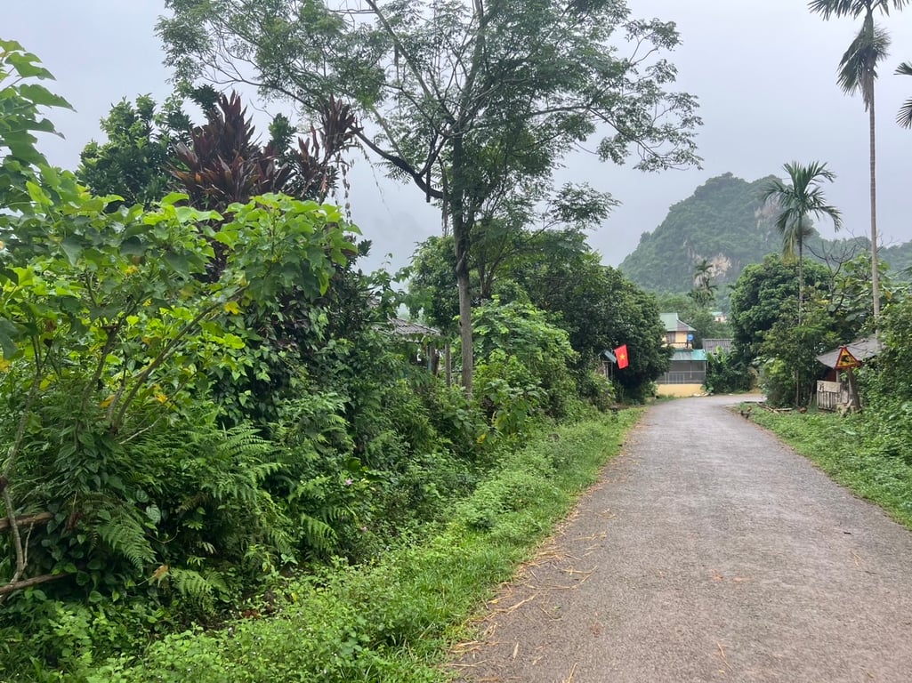 Nhân Mỹ- Tân Lạc - Hòa Bình (496m2)