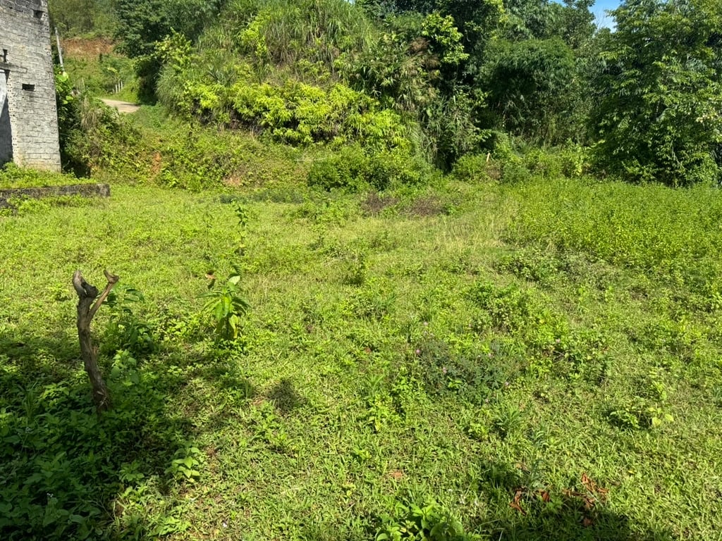 1127m2 thực tế hơn 1300m2 có 400m2 ONT tại Phú Cường, Tân Lạc, Hoà Bình