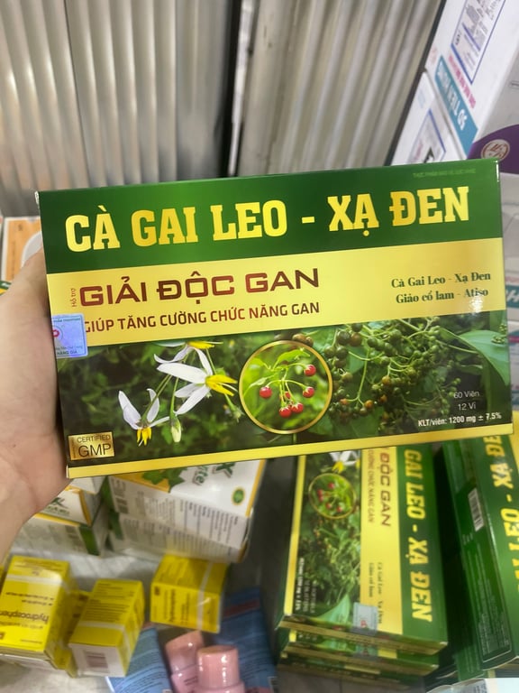 Cà gai leo xạ đen tradiphar h/60v