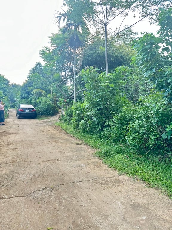 740m2 lô góc 2 mặt tiền có 200m2 ODT tại thị trấn Mãn Đức - Hoà Bình