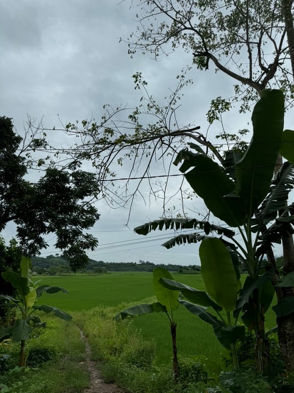 Diện tích 400m2 có 345m2 ONT  tại Gia Mô, Tân Lạc, Hòa Bình