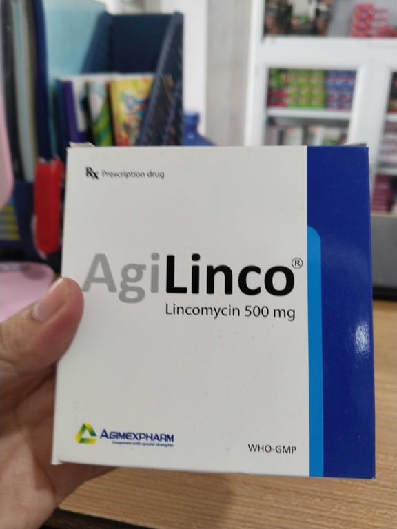 Linco 500 agi h/100v