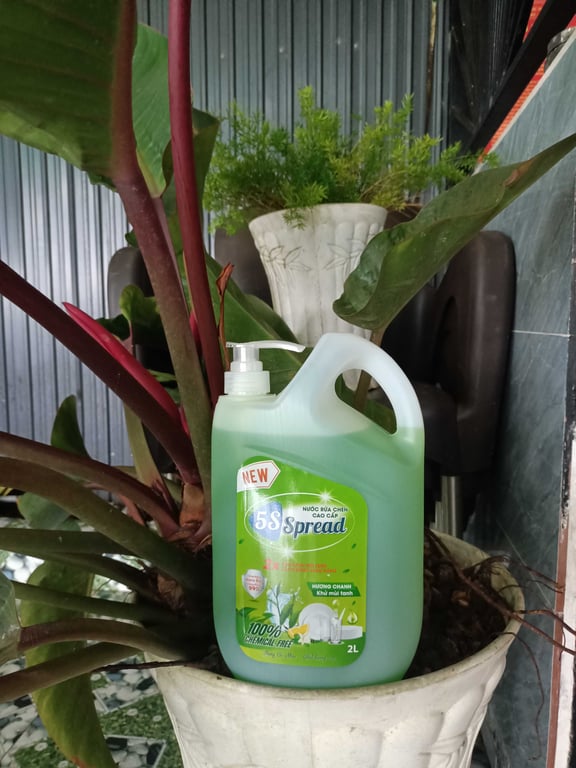 Nước Rửa chén Hương Chanh