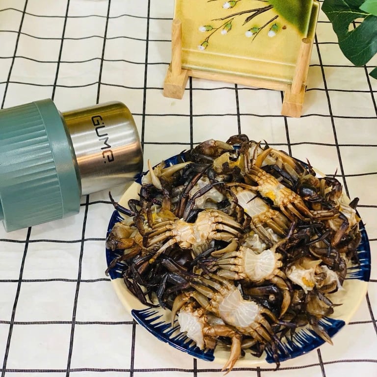 GM2252 - MÁY XAY THỊT ĐA NĂNG GUME