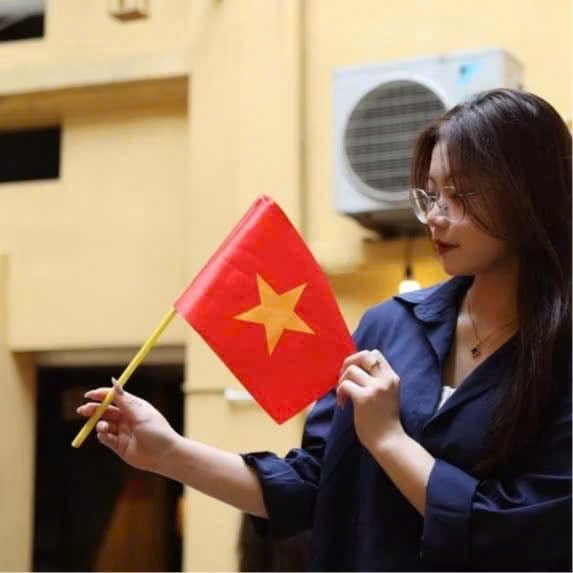 Set 10 Cờ vẫy tay Quốc kỳ Việt Nam