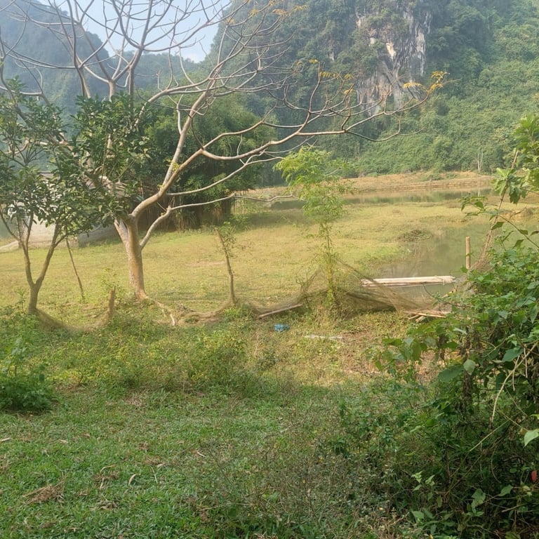 1048m2 có 300m2 thổ cư tại Lạc Thuỷ ,Hoà Bình