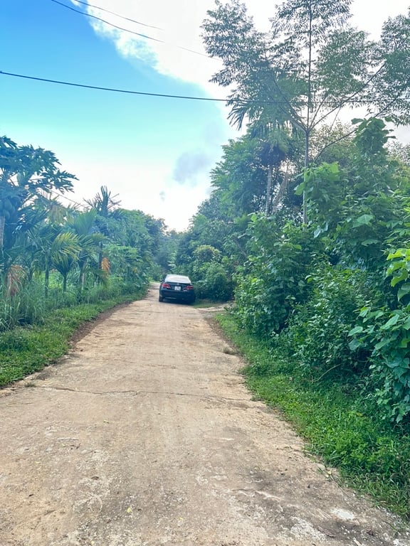 740m2 lô góc 2 mặt tiền có 200m2 ODT tại thị trấn Mãn Đức - Hoà Bình