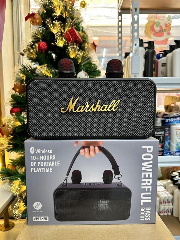 Loa Bluetooth Karaoke K186 Pro kèm 2 mic