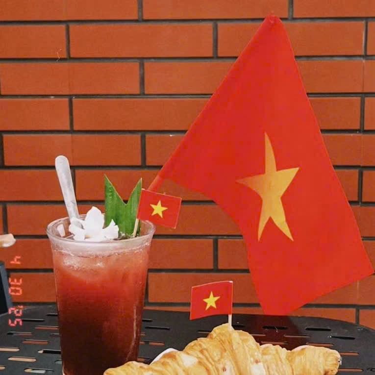 Set 10 Cờ vẫy tay Quốc kỳ Việt Nam