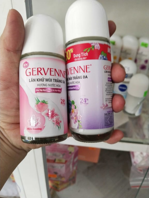 Lăn geven dâu/việt quất lớn