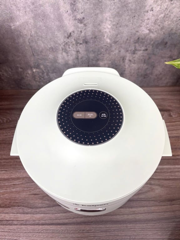 NỒI CƠM ĐIỆN KALPEN R10 DUNG TÍCH 1L