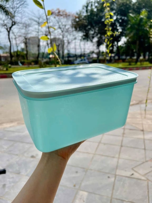 Tupp đông dẻo 2.5L