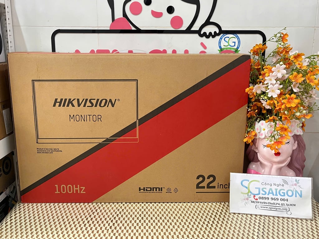 Màn hình máy tính 21.5 inch Hikvision DS-D5022F2-1V2