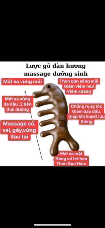 Lược mát xa