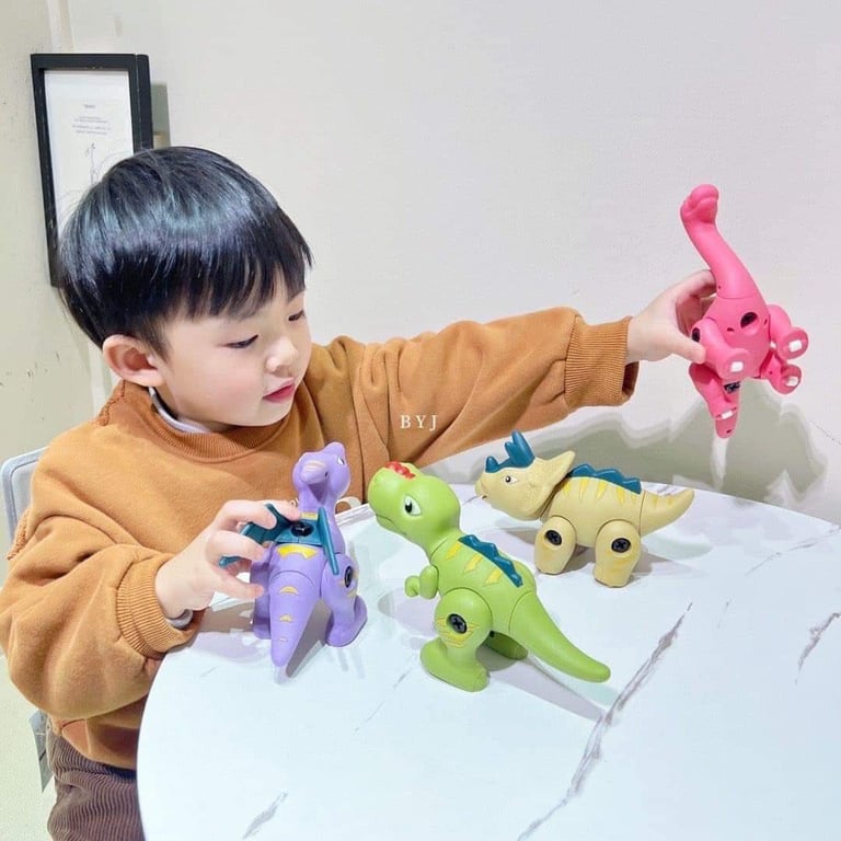 Set 4 con Dinosaur siêu đẹp