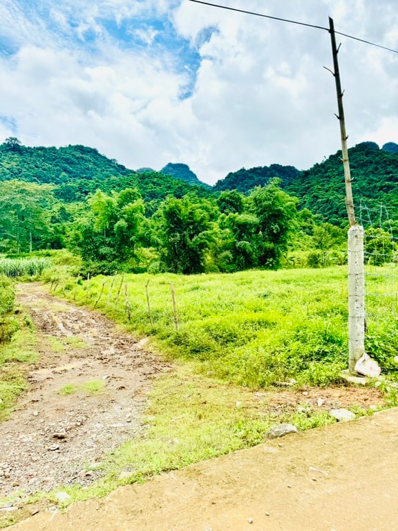 ~ 1400m2 có 200m2 ONT tại Mỹ Hòa, Tân Lạc, Hòa Bình