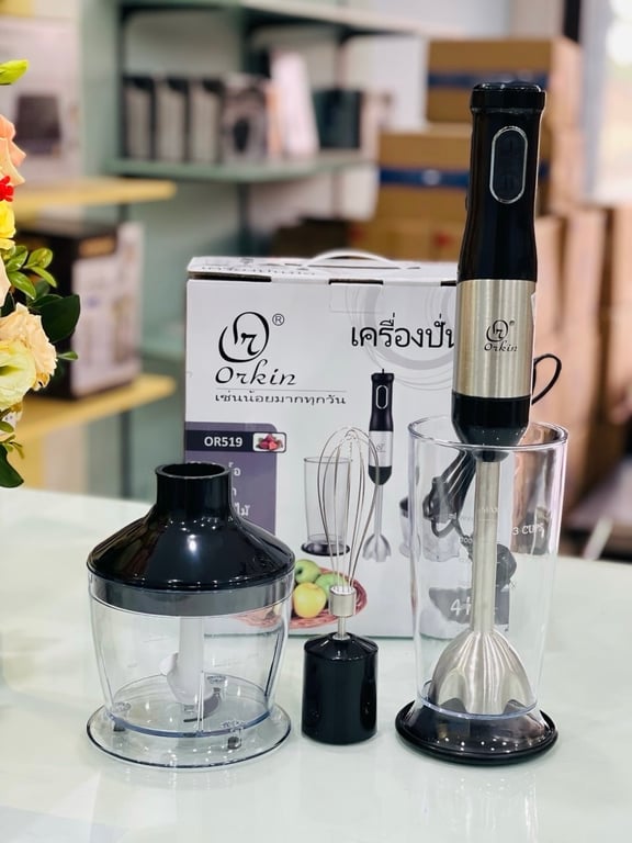 MÁY XAY SINH TỐ CẦM TAY ĐA NĂNG ORKIN OR519