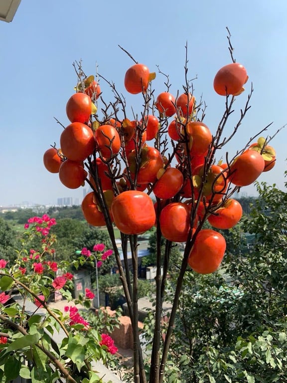 Set 6 cành quả hồng giả