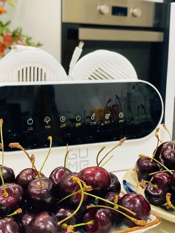 Máy khử khuẩn thực phẩm Gume