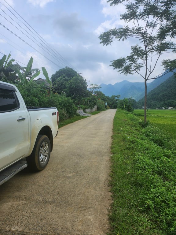 333m2 có 100m2 ONT Tại Phú Cường Tân Lạc, Hòa Bình chỉ 499tr