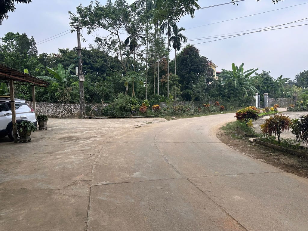 161m2 có 156m2 thổ cư tại Thanh Sơn, Lương Sơn, Hoà Bình, cách Hà Đông hơn 40km