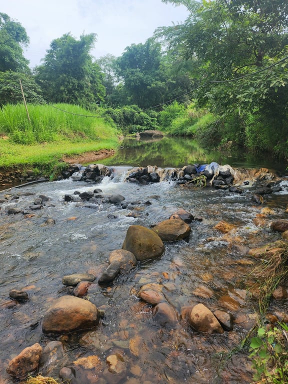 Đất đẹp bên suối tại Thạch Yên, Cao Phong, Hòa Bình (1500m2).
