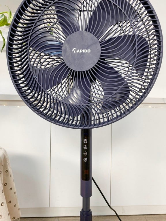 Quạt cây đứng có điều khiển từ xa Rapido RWF – 20AHD