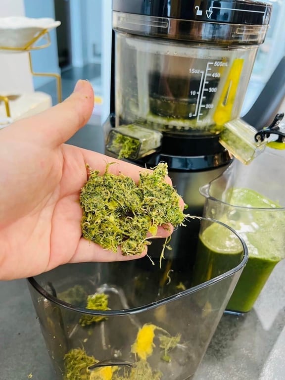 Máy ép chậm kalite kl 599