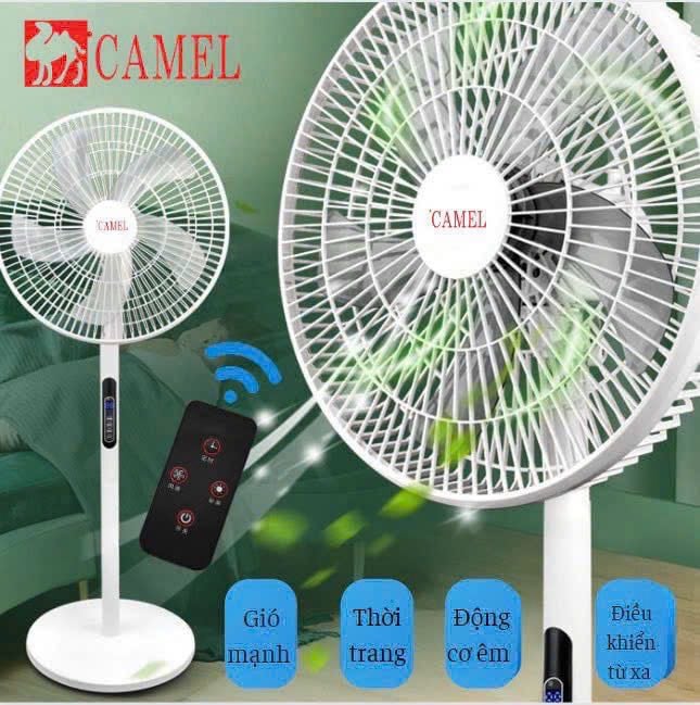 Quạt cây Camel