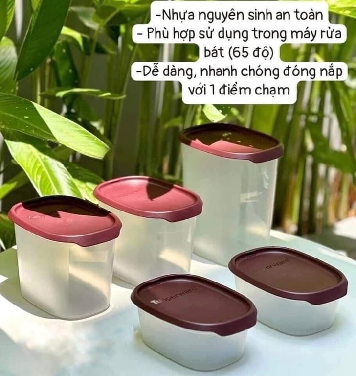 SET 5 hộp tupp ONE TOUCH FRESH