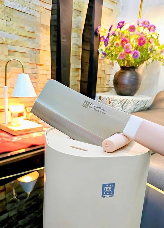 Bộ 6 dao kèm hộp tiệt trùng Zwilling chính hãng