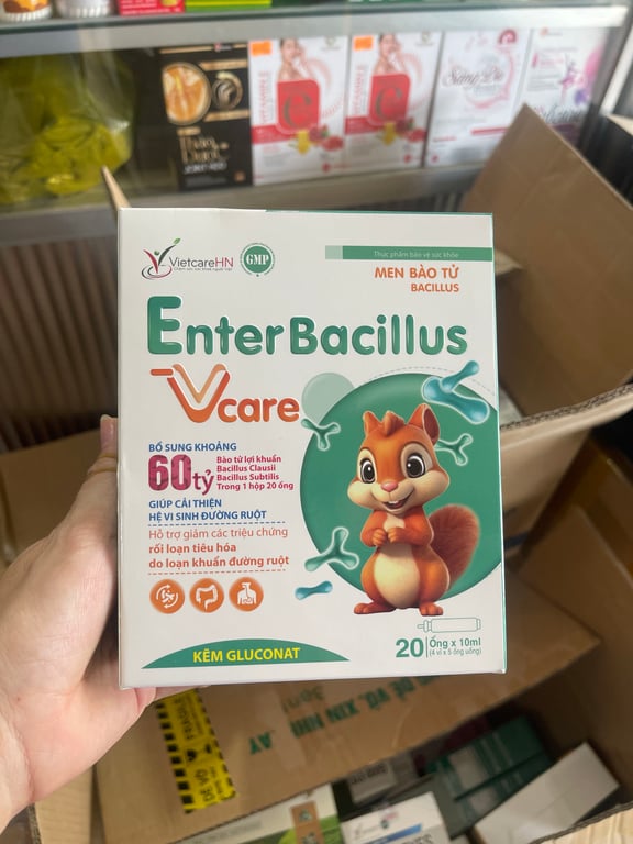 enter bacillusss h/20 ống faco