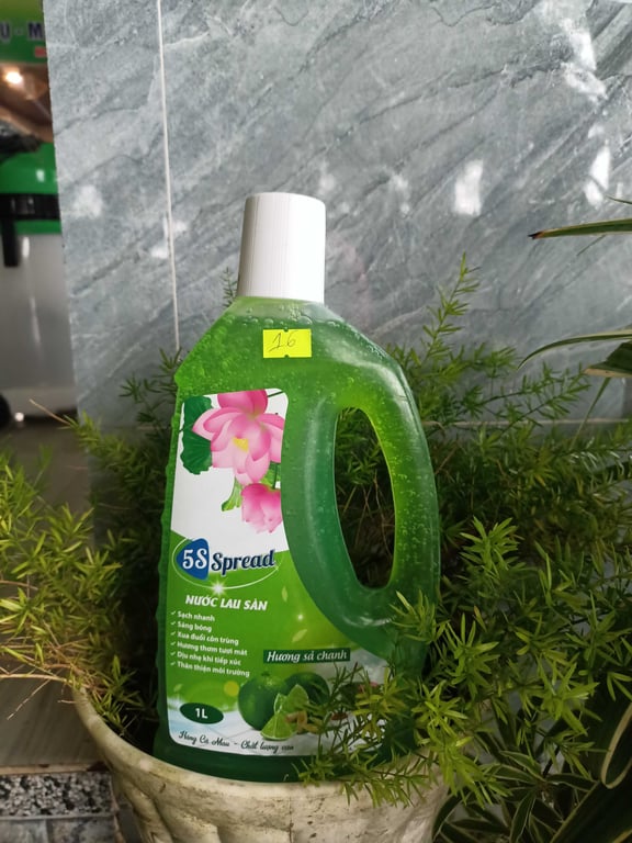 Nước Lau sàn hương sả chanh