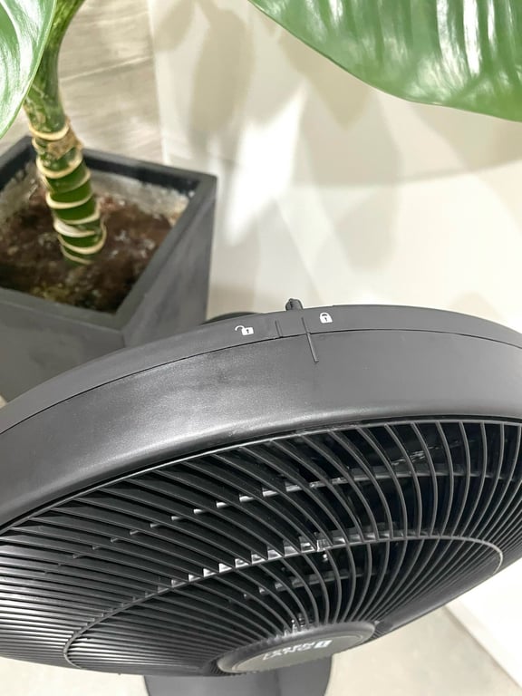 Quạt cây 5 cánh Lebenlang LBL1863 có điều khiển - Thương hiệu Đức