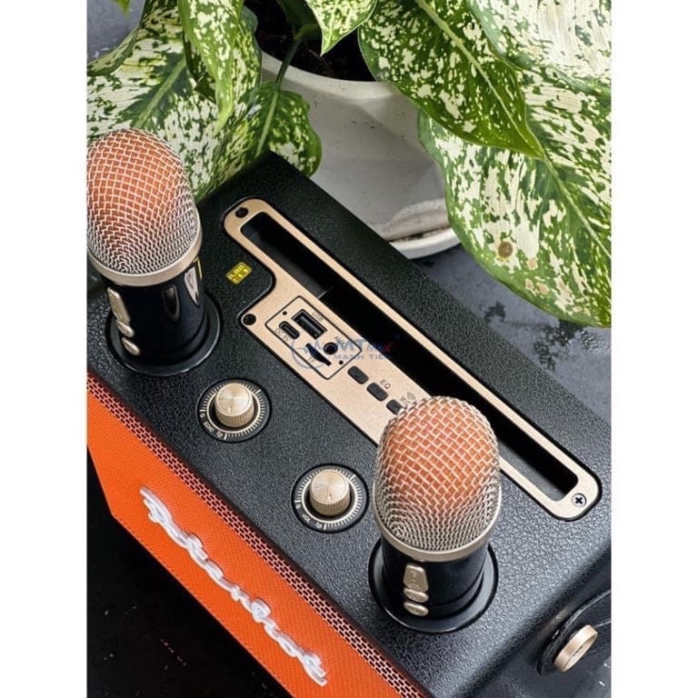 LOA BLUETOOTH NGHE NHẠC KHÔNG DÂY TẶNG KÈM 2 míc cực đã !!