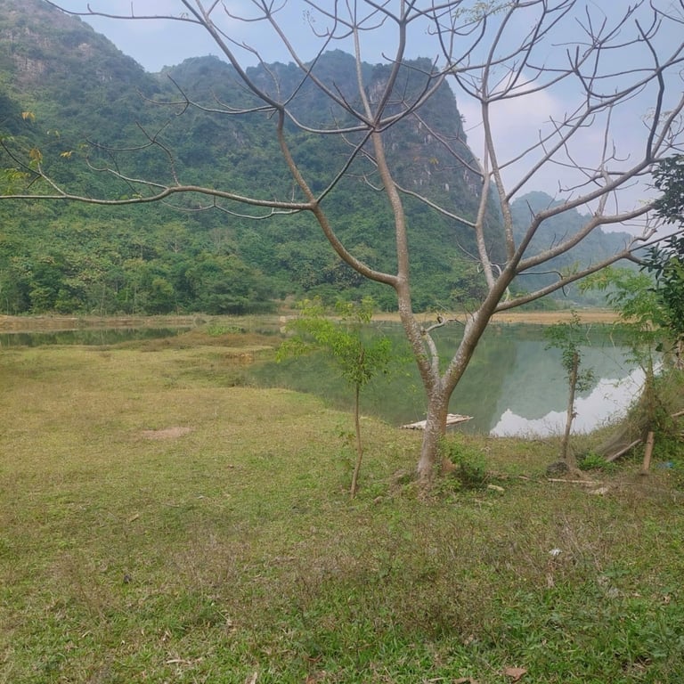 1048m2 có 300m2 thổ cư tại Lạc Thuỷ ,Hoà Bình