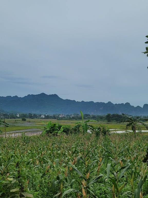 350m2 tại Thị trấn mãn Đức Tân Lạc, Hoà Bình