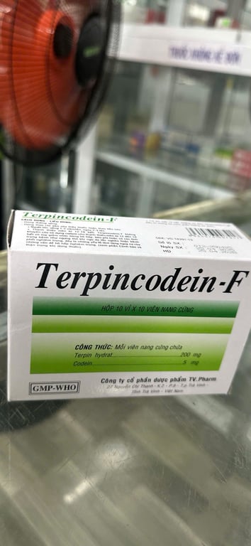 Terpincodein  F tv cải h/100v