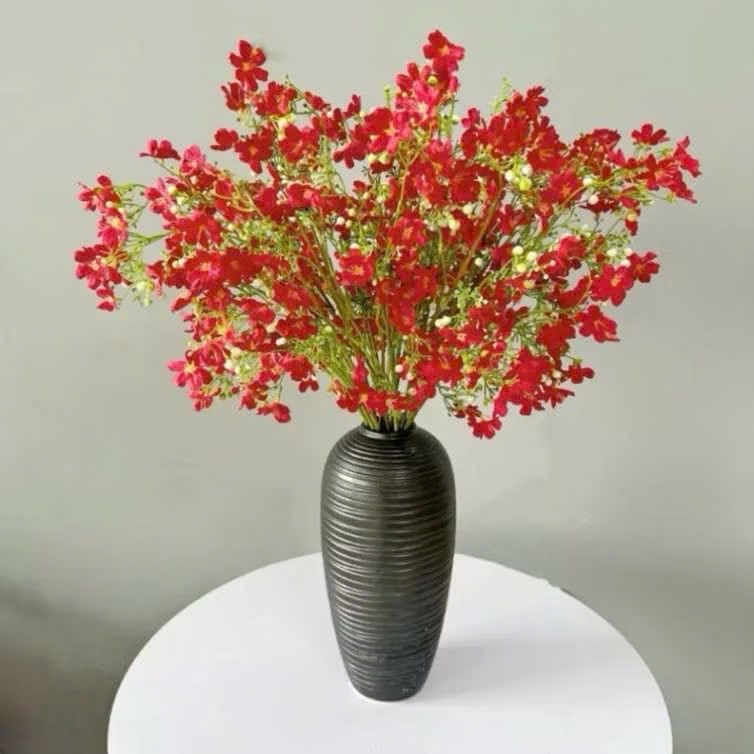 10 Cành Nhất Chi Mai