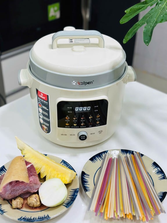🥘 NỒI ÁP SUẤT ĐIỆN KALPEN P5 DUNG TÍCH 6L