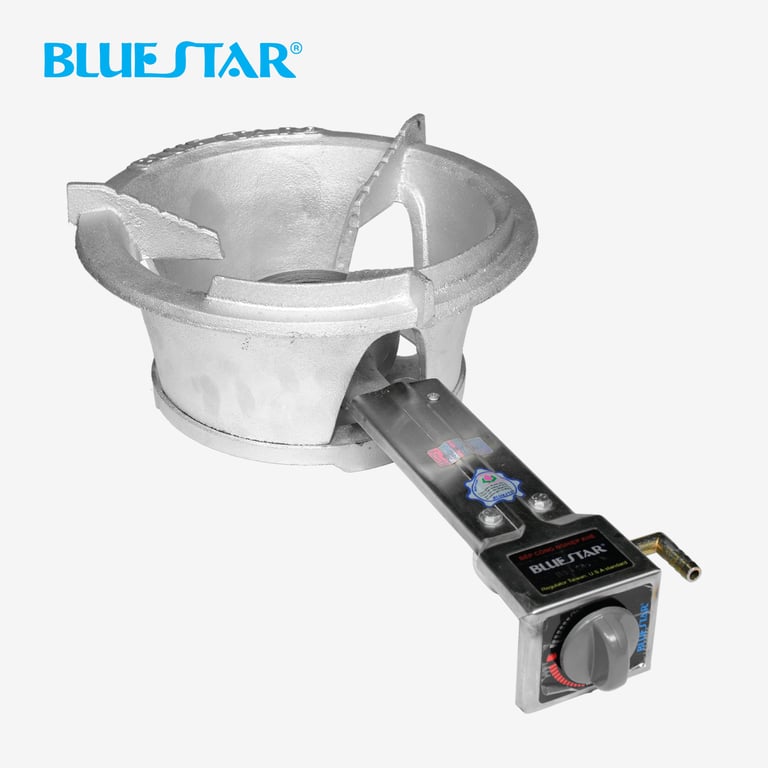 Bếp công nghiệp khè BS-5A2.T