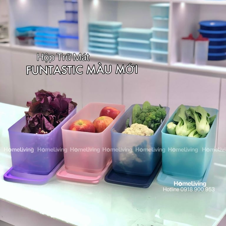 Set 4 hộp bảo quản thực phẩm