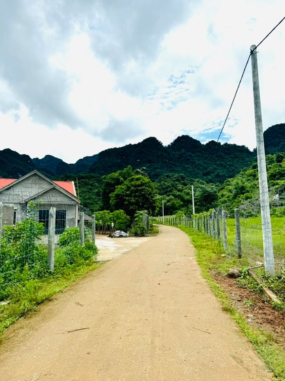 ~ 1400m2 có 200m2 ONT tại Mỹ Hòa, Tân Lạc, Hòa Bình