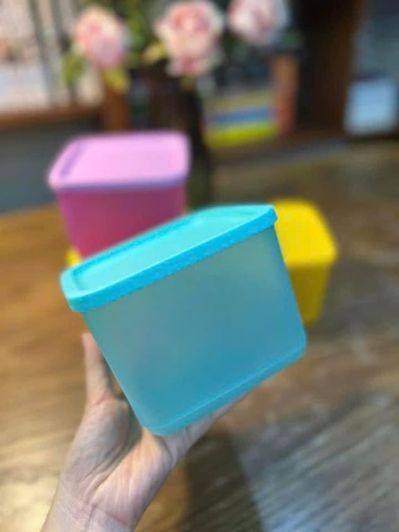 TUP11 - Set 4 hộp Tupperware ngăn mát dung tích 1000ml, mix màu