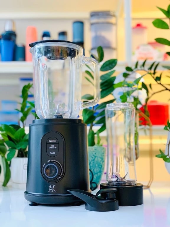 MÁY XAY SINH TỐ ĐA NĂNG THÁI LAN ORKIN OR520