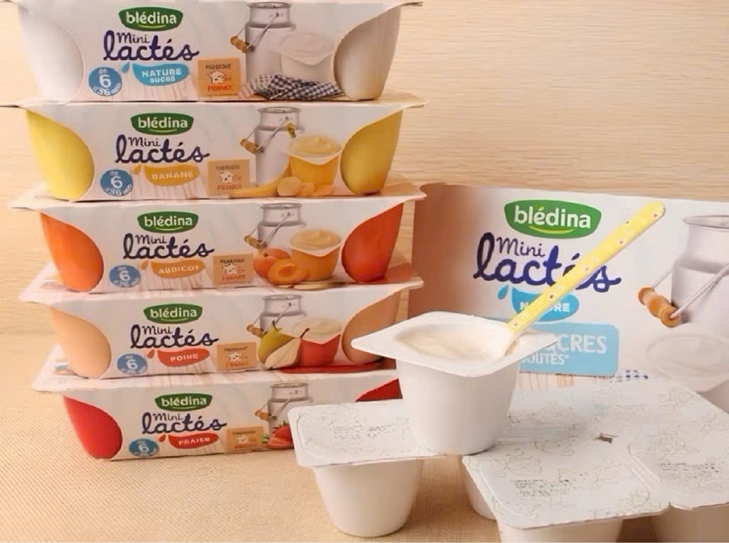 Sữa Chua Nguội Bledina Lactes Pháp cho Bé từ 6 Tháng(6h/1vỉ)