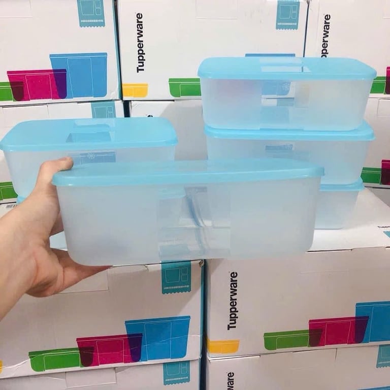 SET 6 HỘP TRỮ ĐÔNG TUPPERWARE 1.7L