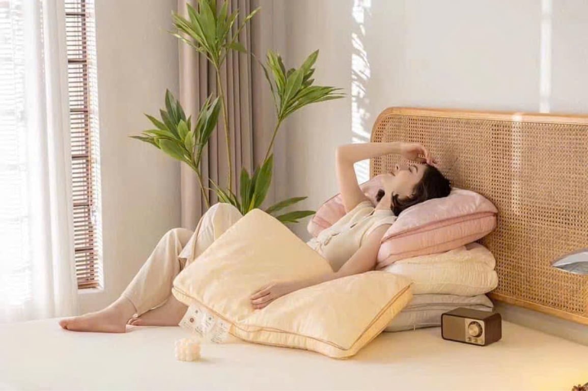 GỐI TRẦN BÔNG TƠ TẮM TENCEL